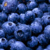 blueberries